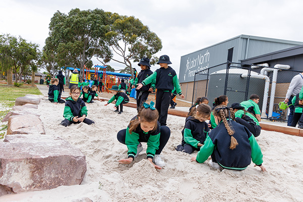 Inclusion & Diversity